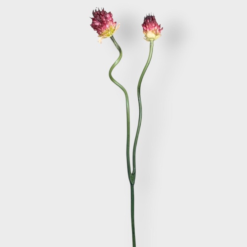 Allium Bud Spray FI12928BU