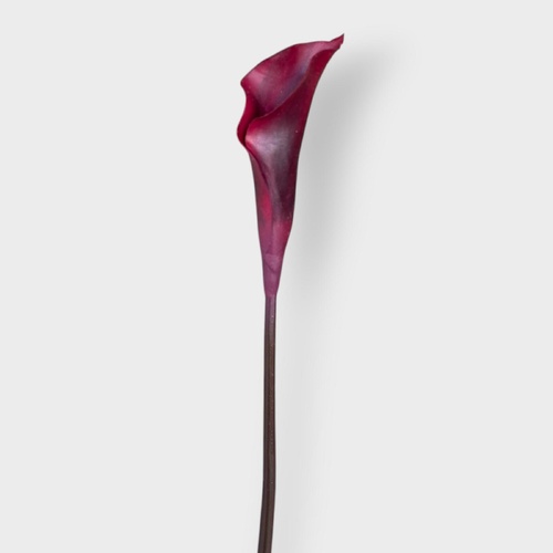 Real Touch Calla Lily 64cm FI12941BU