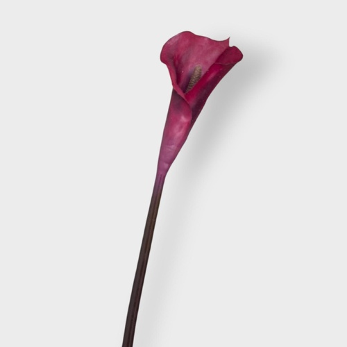 Real Touch Calla Lily 80cm FI12942BU