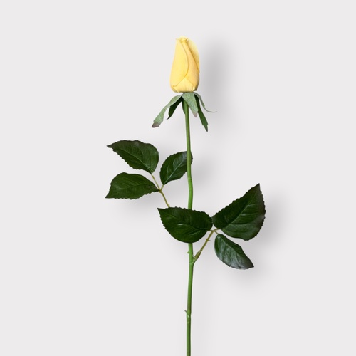 Everly Rosebud FI12951YE