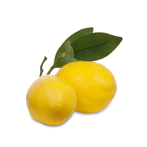 Lemon Spray x 2 heads FI4730YE