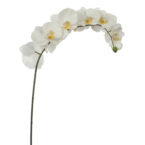 Orchid Phalaenopsis Spray FI4838WH