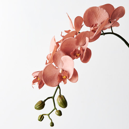 Real Touch Phalaenopsis Orchid FI4873PNK