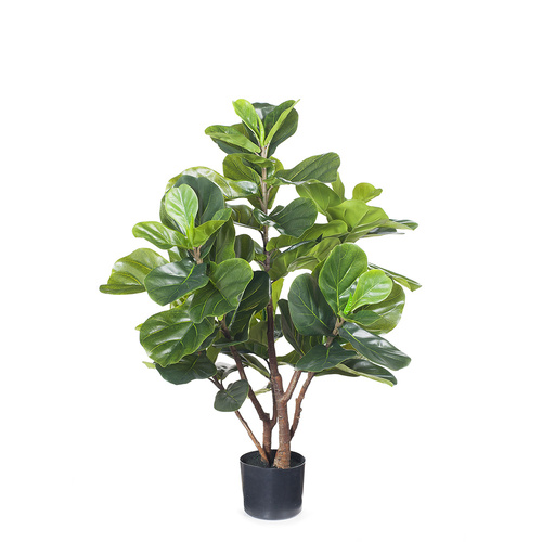 Fiddle Leaf Plant Small FI4985GR