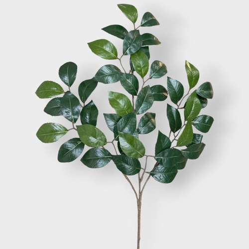 Camellia Leaf Spray FI6157GR