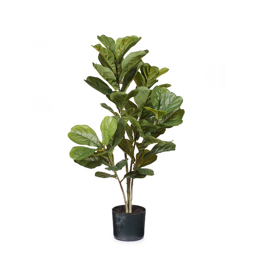 Fiddle Leaf Plant FI6420GR