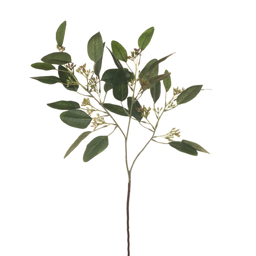 Eucalyptus Leaf & Seed FI6462 GRN