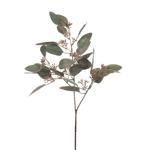 Eucalyptus Leaf & Seed FI6462GRY