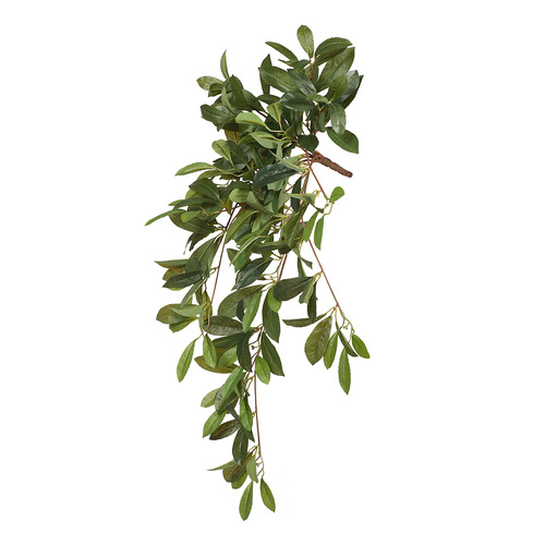 Laurel bush FI6545GR