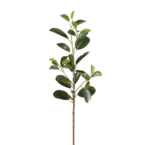 Ficus Leaf Spray 78cm FI6735-GRN