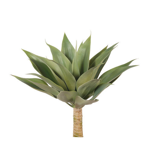 Agave FI6738GR