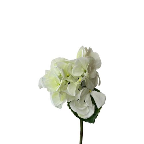 Hydrangea FI6835-WG