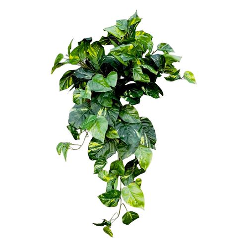 Real Touch Hanging Pothos Bush FI6894GR