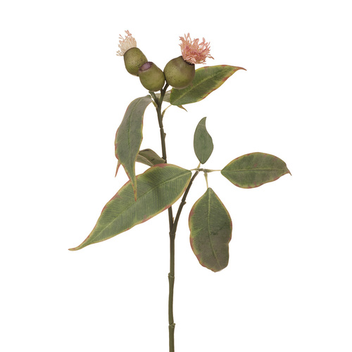 Flowering Eucalyptus Pod FI7354-PNK