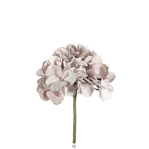 Hydrangea w/o Leaf FI7361-SPNK