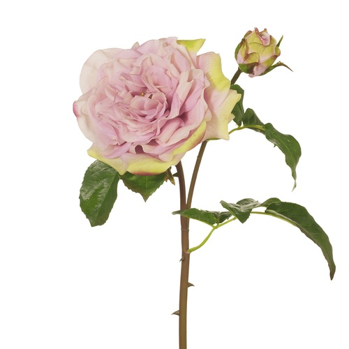 Rose Dutchess FI7552-LAV