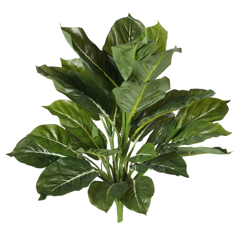 Evergreen Bush FI7727GR