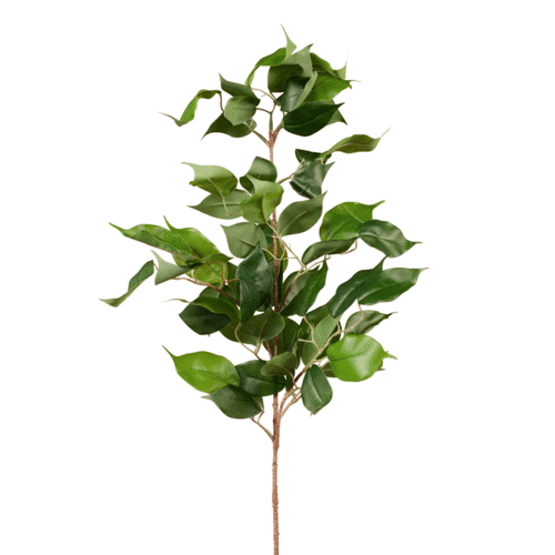 Ficus spray FI7753gr