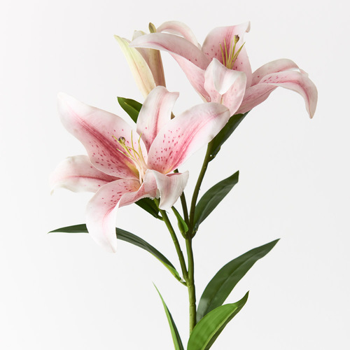 Real Touch Asiatic Lily FI7790LP