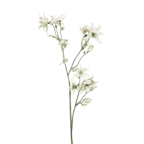 Flannel Flower Spray FI7843CG
