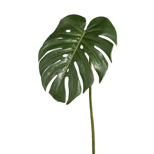 Monstera Leaf FI7915GR