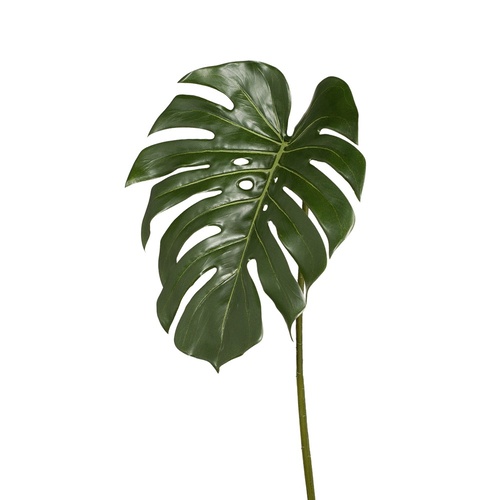 Monstera Leaf FI7916GR