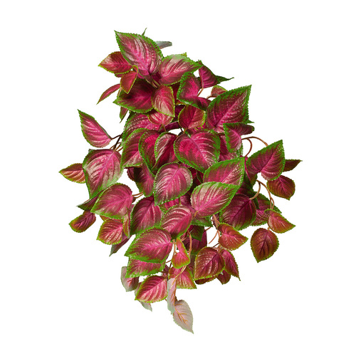 Coleus Hanging Bush UV protected FI7935PG
