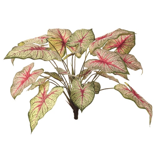 Caladium Leaf FI7956GP