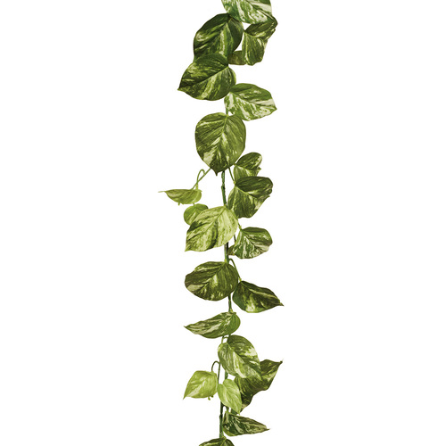 RT Pothos Garland FI7960VG