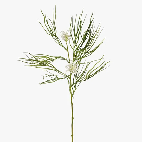Grevillea Spray   FI8073CG