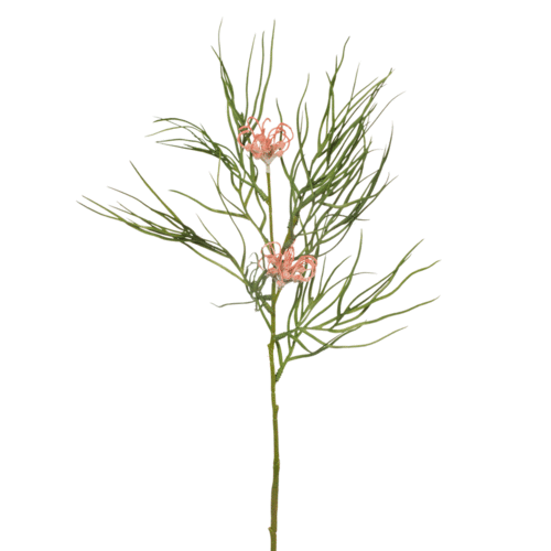 Grevillea Spray Pink  FI8073PG