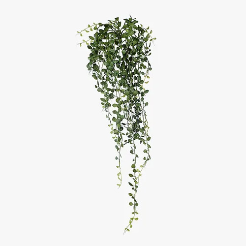 FERN BUTTON HANGING BUSH FI8144GR