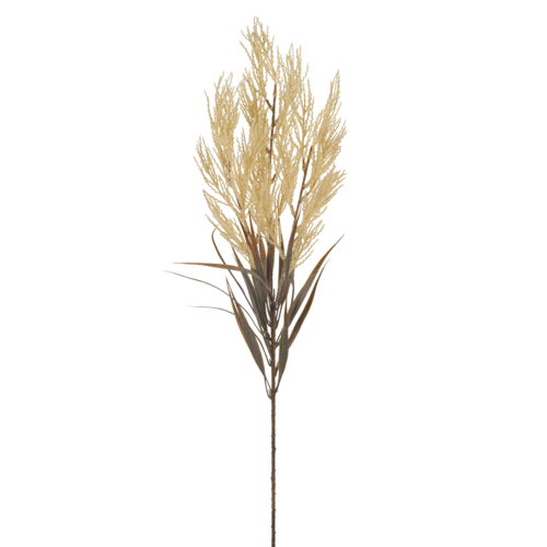Plume Grass Spray Cream FI8212CR