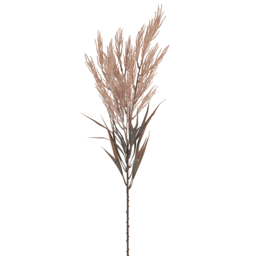 Plume Grass Spray Dusty Pink FI8212DP
