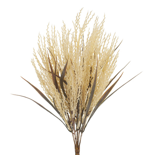 Plume Grass Bush FI8213CR