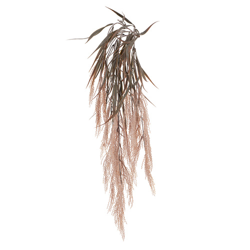 Hanging Plume Grass Spray Dusty Pink FI8214DP