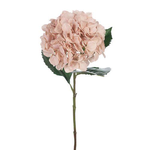 Hydrangea FI8247DP