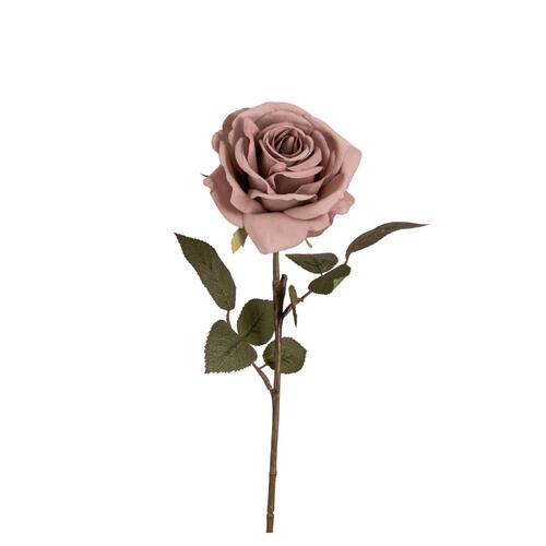 Rose Charlotte FI8250DP