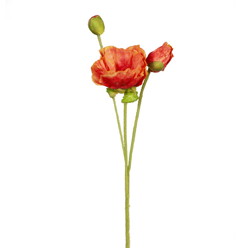 Poppy spray FI8268OR