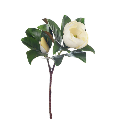 Magnolia Spray FI8271WH