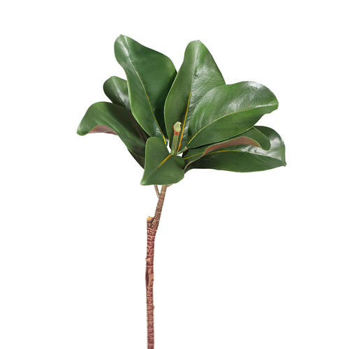 Magnolia Leaf Spray FI8272GR