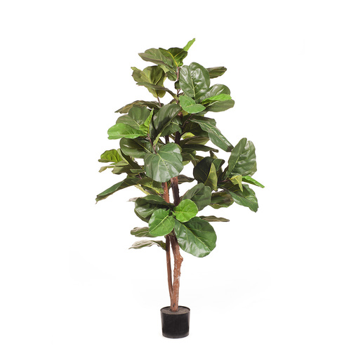 Fiddle Leaf Tree FI8300GR