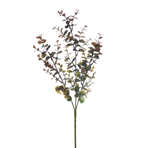 Eucalyptus Bush FI8313BU