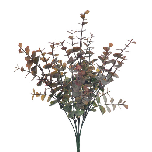 Eucalyptus Bush FI8315BU