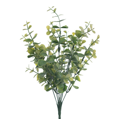 Eucalyptus Bush FI8315GR