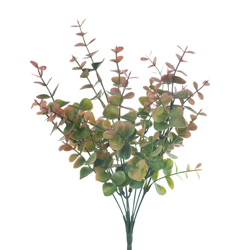 Eucalyptus Bush FI8315OL