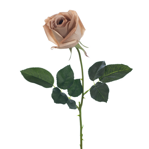 Real Touch Ecuadorian Rose Bud FI8321CF