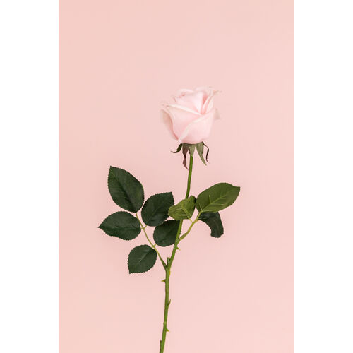 Real Touch Ecuadorian Rose Bud FI8321LP