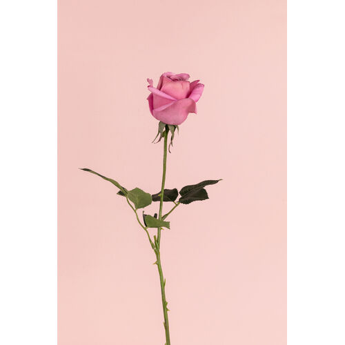Real Touch Ecuadorian Rose Bud FI8321MV