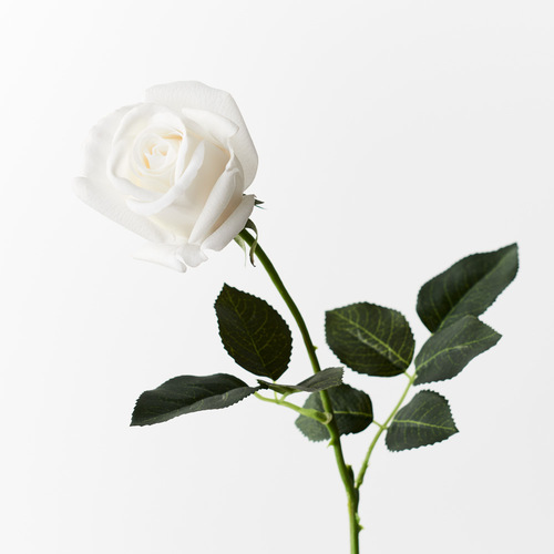 Real Touch Ecuadorian Rose Bud FI8321WW